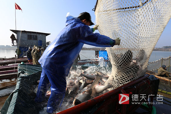常德市德天廣告有限公司,品牌設計,活動策劃,影視攝制,廣告設備租賃,媒體廣告推廣,